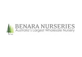 Our Client Benara Nurseries