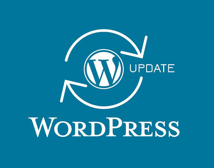Do I Need To Do Regular WordPress Website Updates?