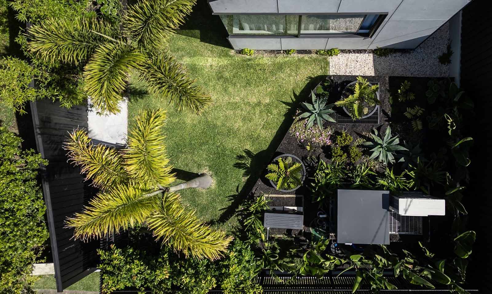 Courtyard garden by Lone Pine Landscapes