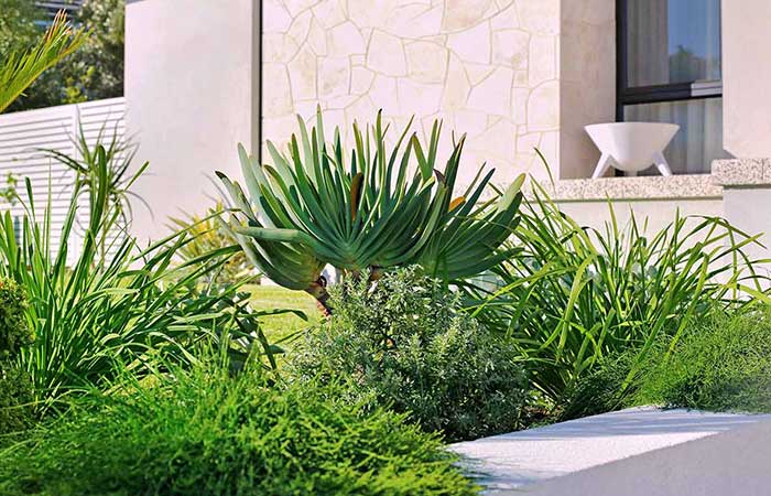 Perth Landscapes SEO Case Studies