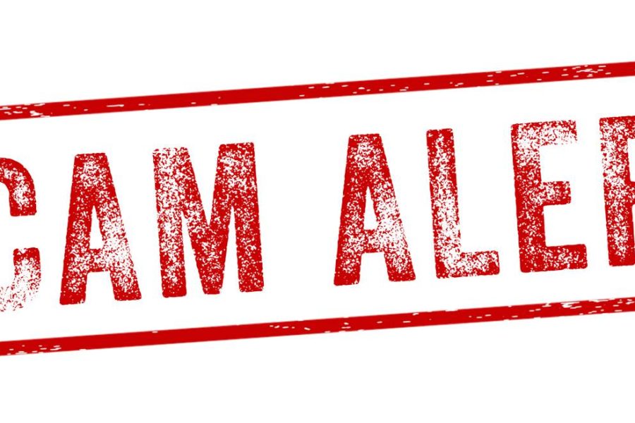 Scam Alert: Fake Slinky Invoices and Website Maintenance Emails