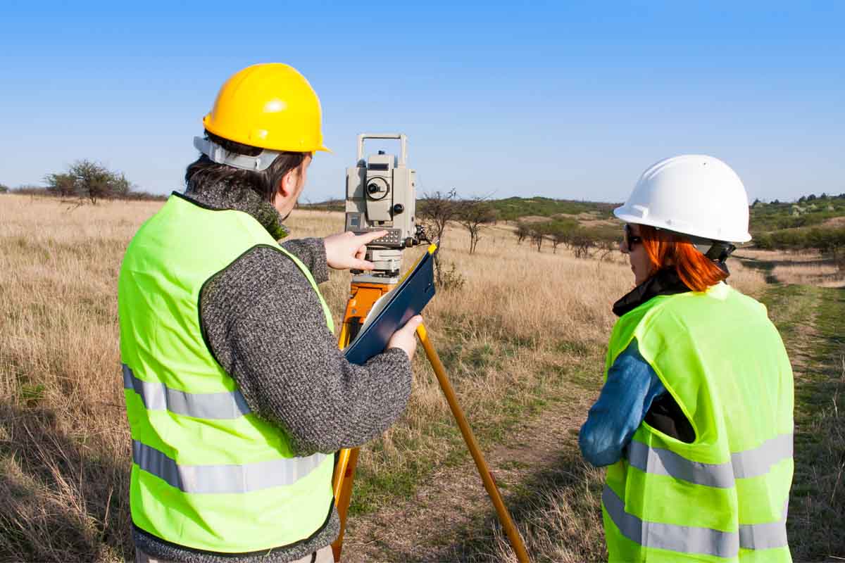 Surveying marketing services