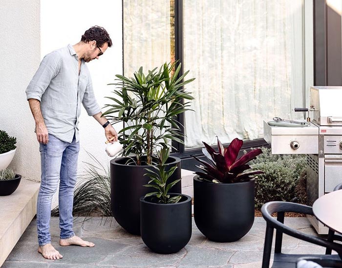 SEO Case Studies - The Balcony Garden